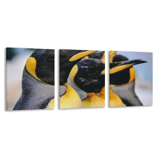 3pcs Three Penguins Minimalist Design Wall Art Set Canvas Framed 40x60cm - High Quality Print 100% Australian Made Wall Canvas Ready to Hang