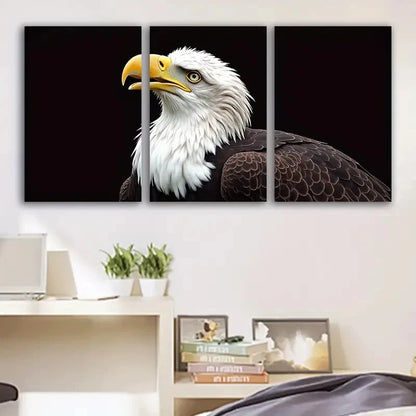3pcs Bald Eagle in Flight Scenic Art Print Wall Art Set Canvas Framed 50x70cm - High Quality Print 100% Australian Made Wall Canvas Ready to Hang - Bella Home Decor