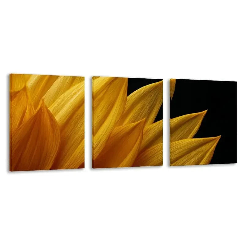 3pcs Golden Sunflower Petals Against Dark Sky Wall Art Set Canvas Framed 40x60cm - High Quality Print 100% Australian Made Wall Canvas Ready to Hang - Bella Home Decor
