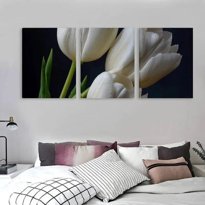 3pcs White Tulips Isolated on Black Background Wall Art Set Canvas Framed 60x90cm - High Quality Print 100% Australian Made Wall Canvas Ready to Hang - Bella Home Decor