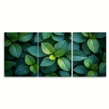 3pcs Tranquil Green Foliage TI  Wall Art Set Canvas Framed 40x60cm - High Quality Print 100% Australian Made Wall Canvas Ready to Hang