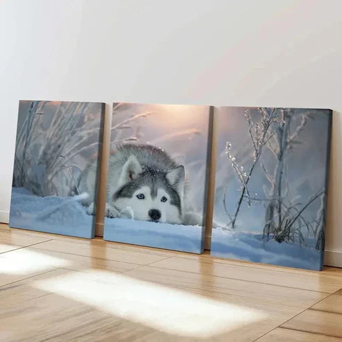 3pcs Snowy Landscape with Arctic Husky Dog Wall Art Canvas Unframed - High Quality Print 100% Australian Made Wall Canvas