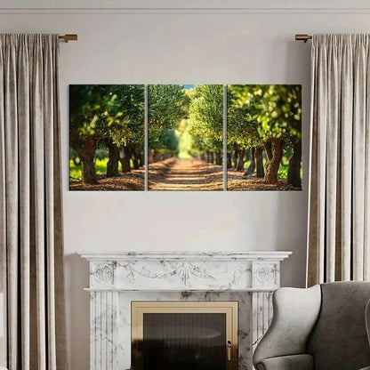3pcs Serene Pathway Lush Greenery Warm Sunlight  Wall Art Set Canvas Framed 40x60cm - High Quality Print 100% Australian Made Wall Canvas Ready to Hang - Bella Home Decor