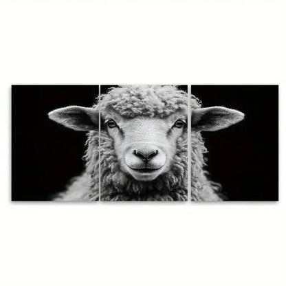 3pcs Fluffy Ram Sheep Black and White T  Wall Art Set Canvas Framed 60x90cm - High Quality Print 100% Australian Made Wall Canvas Ready to Hang - Bella Home Decor