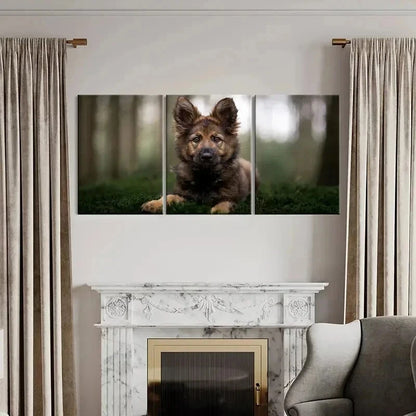 3pcs Brownish Dog Puppy Sitting on Grass Wall Art Set Canvas Framed 40x60cm - High Quality Print 100% Australian Made Wall Canvas Ready to Hang - Bella Home Decor