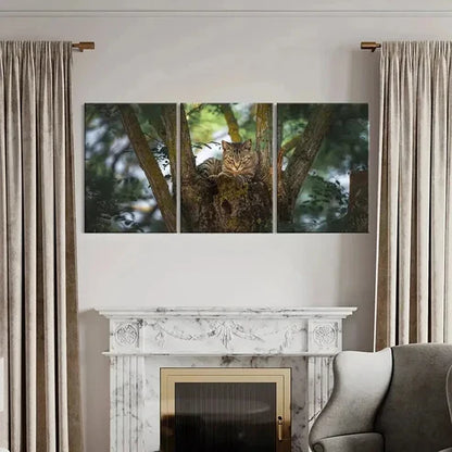 3pcs Charming Grey Kitten on Tree Wall Art Canvas Unframed - High Quality Print 100% Australian Made Wall Canvas - Bella Home Decor