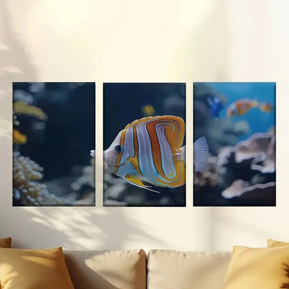3pcs Vibrant tropical fish Wall Art Set Canvas Framed 40x60cm - High Quality Print 100% Australian Made Wall Canvas Ready to Hang