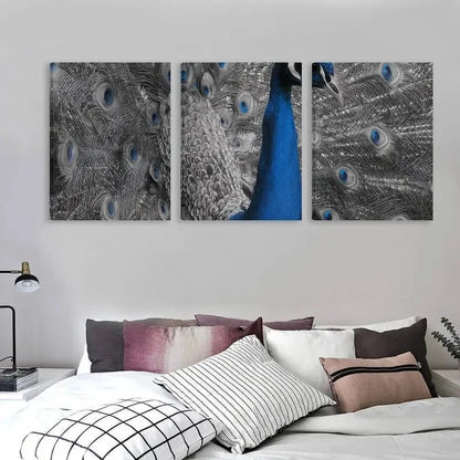 3pcs Blue peacock with its feathers spread out  Wall Art Set Canvas Framed 60x90cm - High Quality Print 100% Australian Made Wall Canvas Ready to Hang - Bella Home Decor