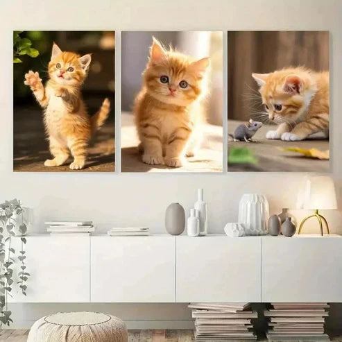 3pcs Adorable Kitten Wall Art Canvas Unframed - High Quality Print 100% Australian Made Wall Canvas - Bella Home Decor