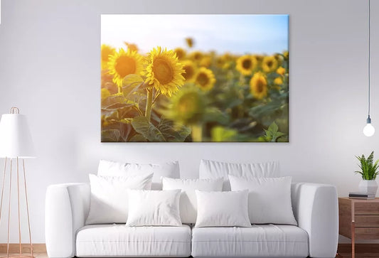 Sunflowers Against the sky   Wall Art Decor 100% Australian Made - Bella Home Decor
