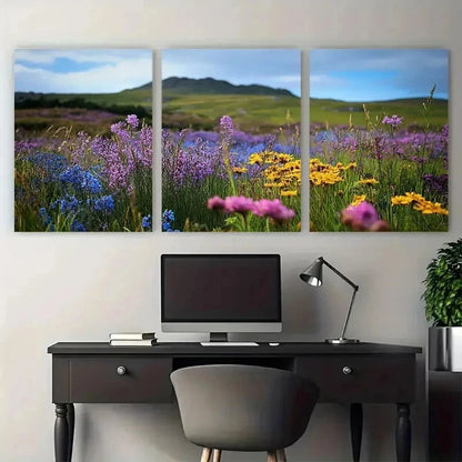 3pcs Dartmoor National Park Scenery Perfect Wall Art Set Canvas Framed 50x70cm - High Quality Print 100% Australian Made Wall Canvas Ready to Hang - Bella Home Decor