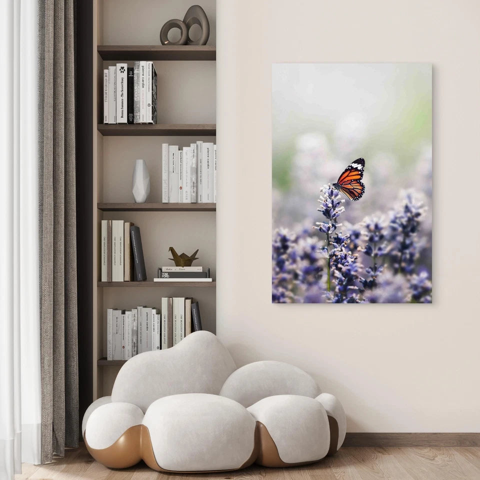 Close Up Image Of A Butterfly 40x60cm Metal Print Ready to Hang