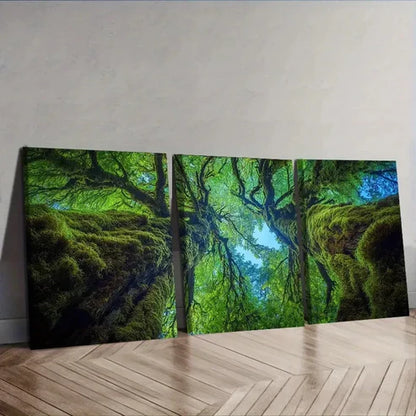 3pcs The Perspective from Within an Old Tree Wall Art Set Canvas Unframed - High Quality Print 100% Australian Made Wall Canvas - Bella Home Decor
