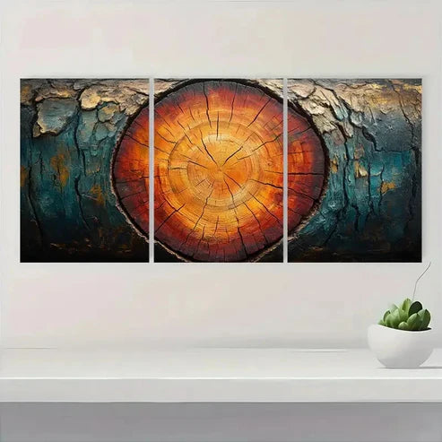 3pcs Grunge Wood Tree Rings Abstract Z Wall Art Set Canvas Unframed - High Quality Print 100% Australian Made Wall Canvas - Bella Home Decor