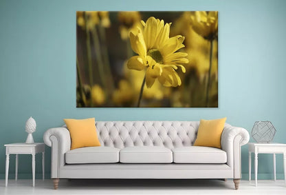Golden Hues Of Yellow Flowers Wall Art Decor 100% Australian Made - Bella Home Decor