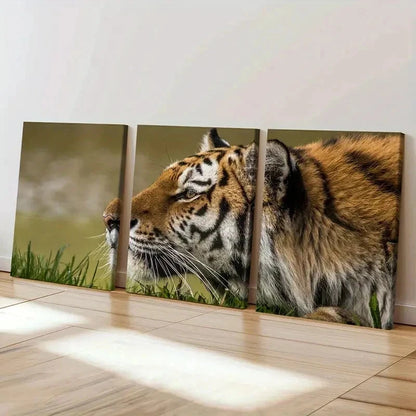 3pcs Tiger on a Grassland Decoration Wall Art Set Canvas Framed 40x60cm - High Quality Print 100% Australian Made Wall Canvas Ready to Hang
