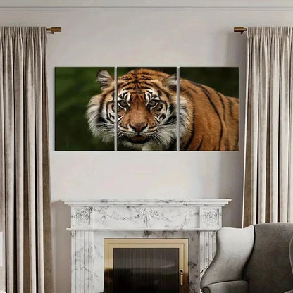 3pcs Realistic Tiger Watching Print Wall Art Set Canvas Framed 60x90cm - High Quality Print 100% Australian Made Wall Canvas Ready to Hang