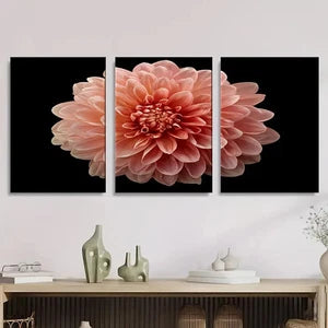 3pcs peachy pink dahlia flower Wall Art Set Canvas Framed 40x60cm - High Quality Print 100% Australian Made Wall Canvas Ready to Hang
