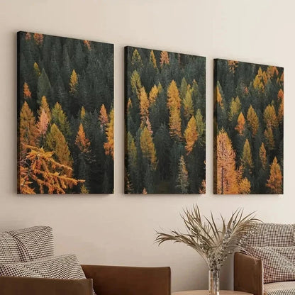 3pcs Autumn Pine Forest Colorado Scenery Wall Art Set Canvas Framed 50x70cm - High Quality Print 100% Australian Made Wall Canvas Ready to Hang