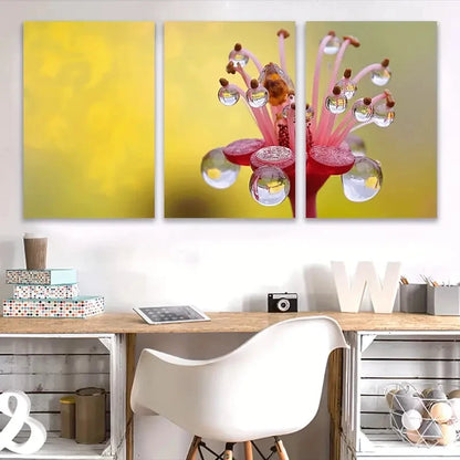 3pcs Vibrant Pink Flower with Water Droplets Wall Art Set Canvas Framed 50x70cm - High Quality Print 100% Australian Made Wall Canvas Ready to Hang