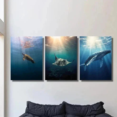 3pcs Turtle Devil Fish Blue Whale Illumination Wall Art Canvas Unframed - High Quality Print 100% Australian Made Wall Canvas