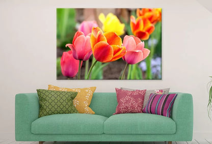 Tulip Flowers In Spring  Wall Art Decor 100% Australian Made - Bella Home Decor