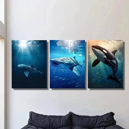 3pcs Marine Life Whales Photography  Wall Art Set Canvas Unframed - High Quality Print 100% Australian Made Wall Canvas
