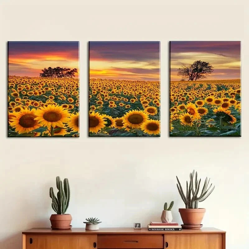 3pcs Sunflower Field Sunscet Décor Perfect Wall Art Set Canvas Framed 50x70cm - High Quality Print 100% Australian Made Wall Canvas Ready to Hang - Bella Home Decor