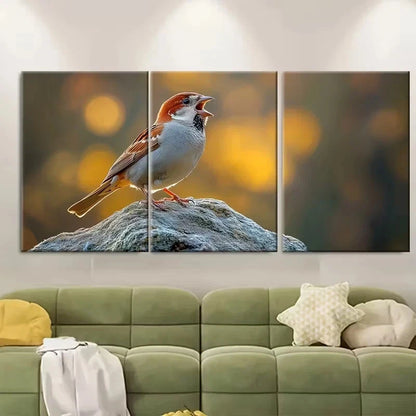 3pcs Perched Sparrow Bird Singing Wall Art Set Canvas Framed 40x60cm - High Quality Print 100% Australian Made Wall Canvas Ready to Hang