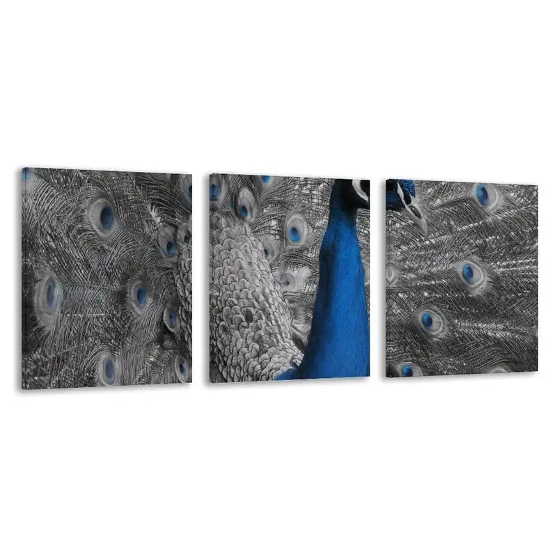3pcs Blue peacock with its feathers spread out  Wall Art Set Canvas Framed 60x90cm - High Quality Print 100% Australian Made Wall Canvas Ready to Hang - Bella Home Decor