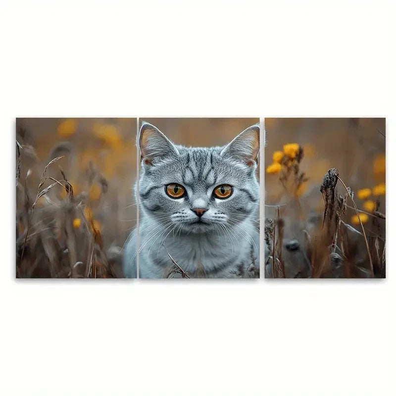 3pcs Feisty Silvery Tabby Cat ri  Wall Art Set Canvas Framed 40x60cm - High Quality Print 100% Australian Made Wall Canvas Ready to Hang