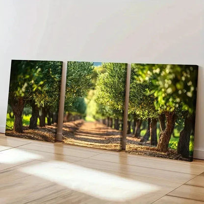 3pcs Serene Pathway Lush Greenery Warm Sunlight  Wall Art Set Canvas Unframed - High Quality Print 100% Australian Made Wall Canvas