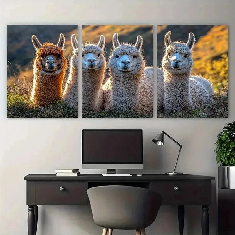 3pcs Fluffy Llamas Alpacas Nature Perfect Wall Art Set Canvas Framed 50x70cm - High Quality Print 100% Australian Made Wall Canvas Ready to Hang - Bella Home Decor