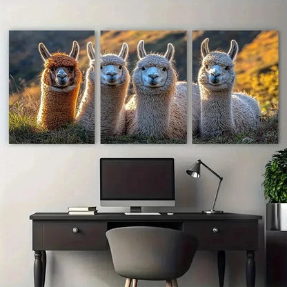 3pcs Fluffy Llamas Alpacas Nature Perfect Wall Art Set Canvas Framed 50x70cm - High Quality Print 100% Australian Made Wall Canvas Ready to Hang - Bella Home Decor
