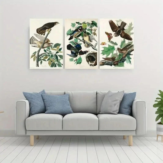 3pcs Elegant Bird Contemporary Classic Wall Art Set Canvas Framed 50x70cm - High Quality Print 100% Australian Made Wall Canvas Ready to Hang
