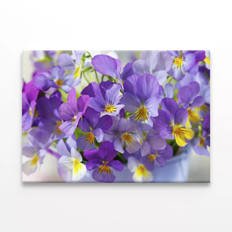 Blue, Purple Flowers Violets Wall Art Decor 100% Australian Made - Bella Home Decor