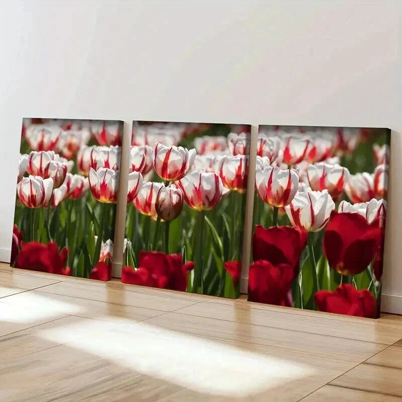 3pcs Flower Art Roses Modern Wall Art Set Canvas Framed 50x70cm - High Quality Print 100% Australian Made Wall Canvas Ready to Hang - Bella Home Decor