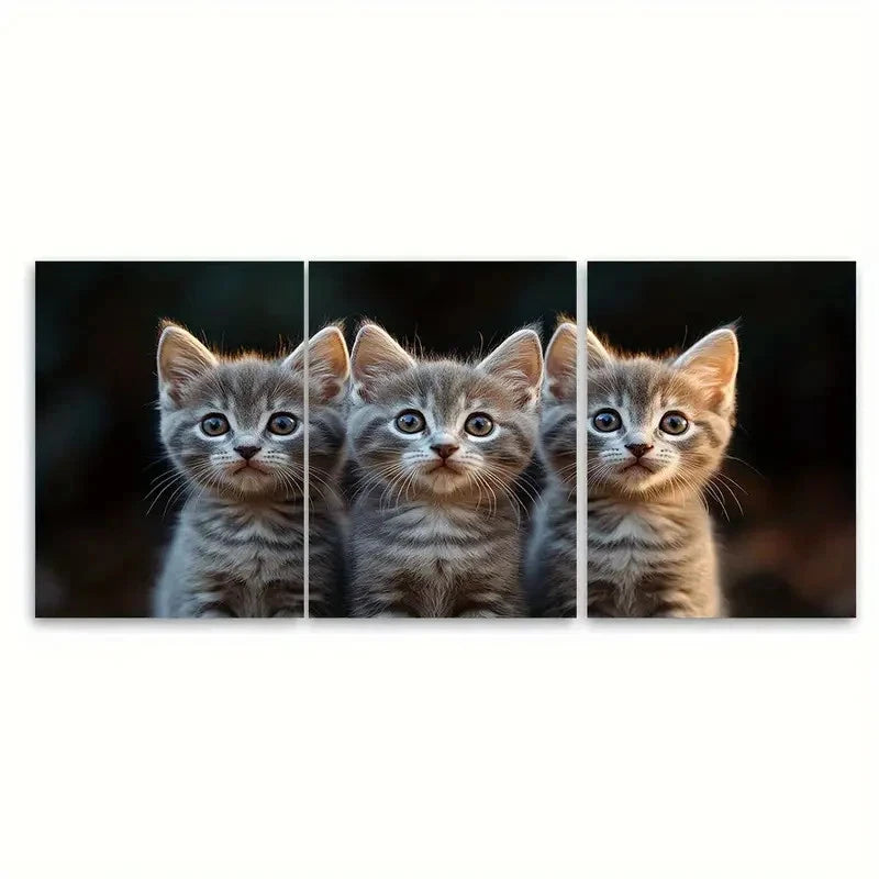 3pcs Fluffy Grey Cats with Blue Eyes C  Wall Art Set Canvas Framed 60x90cm - High Quality Print 100% Australian Made Wall Canvas Ready to Hang - Bella Home Decor