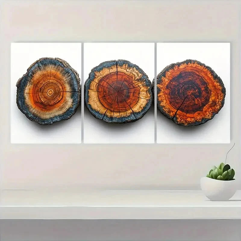 3pcs Wood Tree Rings  PL   Wall Art Set Canvas Framed 40x60cm - High Quality Print 100% Australian Made Wall Canvas Ready to Hang - Bella Home Decor