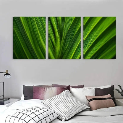 3pcs Vibrant Green Texture on a Palm Leaf    Wall Art Set Canvas Framed 40x60cm - High Quality Print 100% Australian Made Wall Canvas Ready to Hang