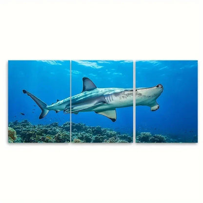 3pcs Great Hammerhead Shark EU    Wall Art Set Canvas Framed 40x60cm - High Quality Print 100% Australian Made Wall Canvas Ready to Hang