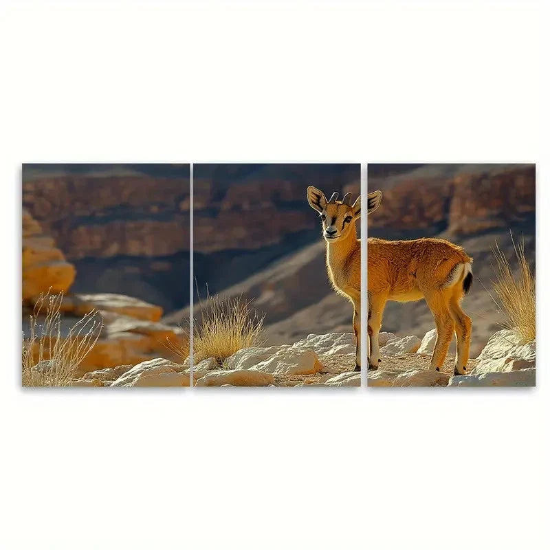 3pcs Makhtesh Ramon Negev Desert R  Wall Art Set Canvas Framed 60x90cm - High Quality Print 100% Australian Made Wall Canvas Ready to Hang
