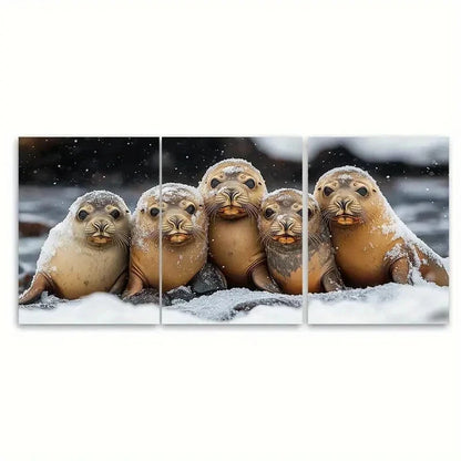 3pcs Sea Lion Huddle Canvas QI  Wall Art Set Canvas1 Framed 40x60cm - High Quality Print 100% Australian Made Wall Canvas Ready to Hang