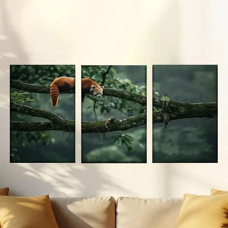 3pcs Sleeping Red Panda Wall Art Set Canvas Framed 40x60cm - High Quality Print 100% Australian Made Wall Canvas Ready to Hang