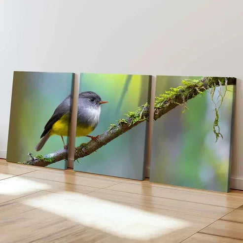 3pcs Tiny Bird On A Small Branch  Wall Art Set Canvas Unframed - High Quality Print 100% Australian Made Wall Canvas