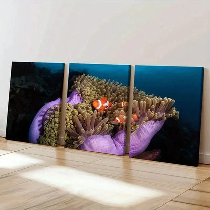 3pcs Vibrant Marine Life Wall Art with Clownfish Wall Art Set Canvas Framed 50x70cm - High Quality Print 100% Australian Made Wall Canvas Ready to Hang