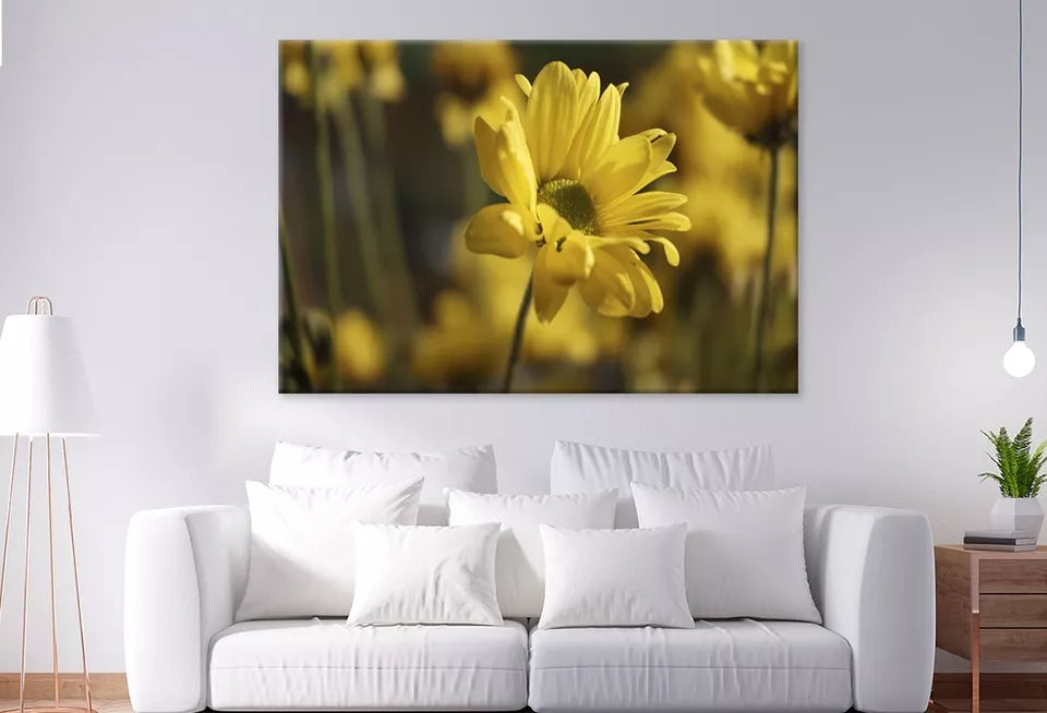 Golden Hues Of Yellow Flowers Wall Art Decor 100% Australian Made - Bella Home Decor