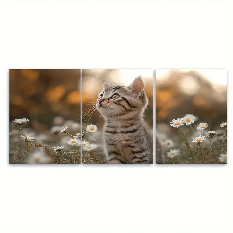 3pcs Excited Kitten Daisies EI  Wall Art Set Canvas Framed 60x90cm - High Quality Print 100% Australian Made Wall Canvas Ready to Hang