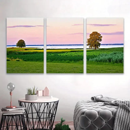3pcs Vertical Nature Scenes with Vibrant Sunset Wall Art Set Canvas Framed 40x60cm - High Quality Print 100% Australian Made Wall Canvas Ready to Hang
