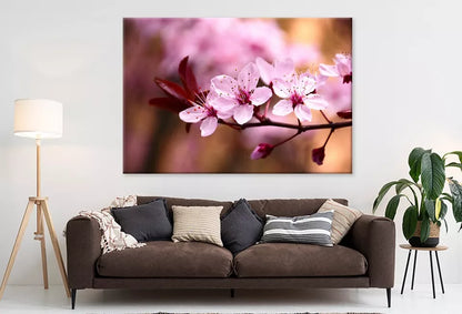 Peach Tree Branch With Blossom Wall Art Decor 100% Australian Made - Bella Home Decor